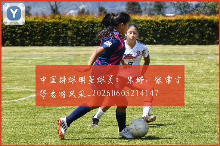 中国排球明星球员:朱婷、张常宁等名将风采_20260605214147