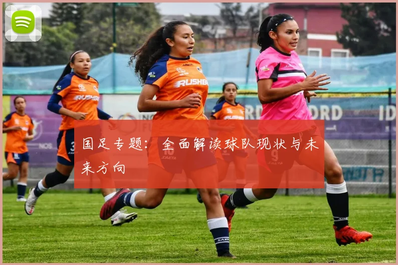 国足专题：全面解读球队现状与未来方向